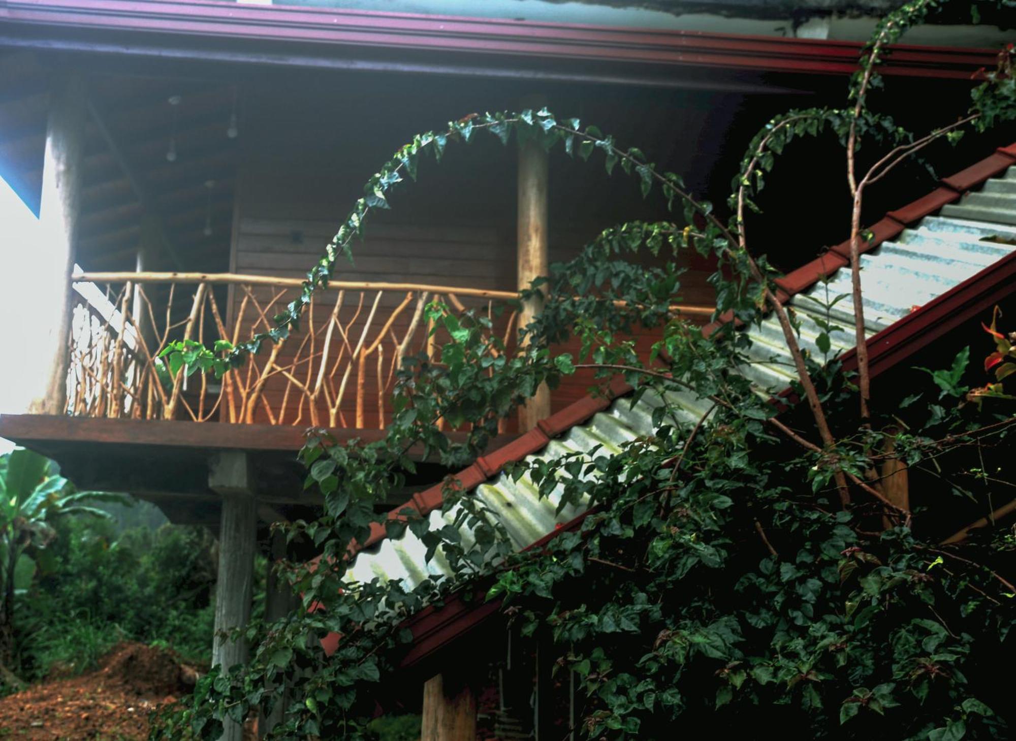 The Dream Inn Ella Zewnętrze zdjęcie